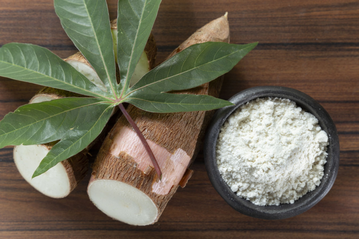 “Mocaf as an Alternative to Wheat”: FIB Unpad and Islamic Boarding Schools in Hegarmanah Village Cultivate Cassava for Economic Sustainability
